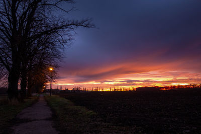 Silhouette trees on field against sky during sunset