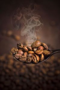 Close-up of roasted coffee beans on spoon