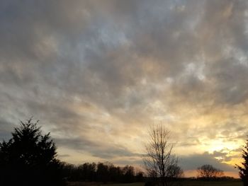 Low angle view of silhouette trees against sky