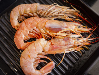 High angle view of fish on barbecue grill