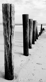 Wooden posts on beach