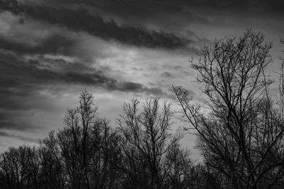 Low angle view of silhouette bare trees against sky