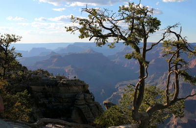 View of trees on mountain against cloudy sky