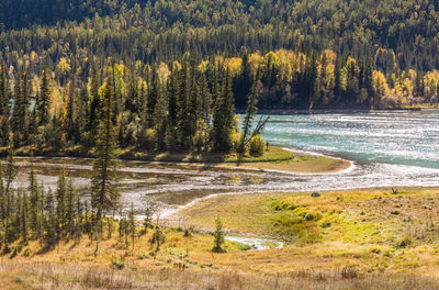 Scenic view of lake in forest during autumn