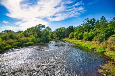 Scenic view of river amidst trees against sky