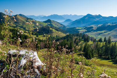 Scenic view of the bavarian alps.