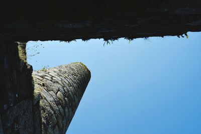 Low angle view of tree against clear blue sky