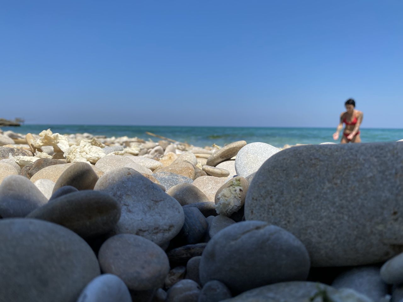 REAR VIEW OF MAN LOOKING AT SEA SHORE