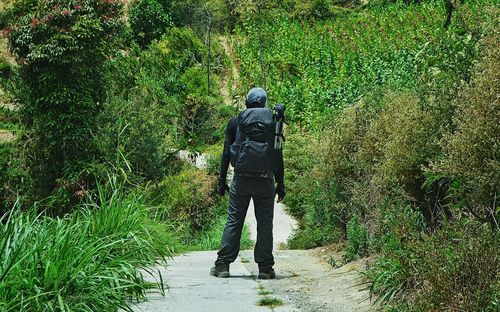 Rear view of man walking on footpath