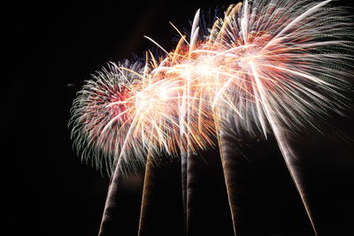 Low angle view of firework display at night