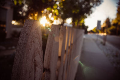 Close-up of fence against trees during sunset