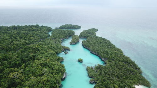 High angle view of tree by sea against sky