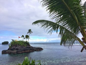 Palm tree on beach against sky