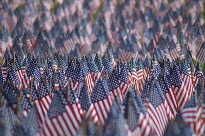 Large group of american flags