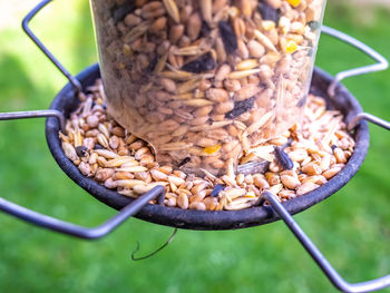 Close up of bird seed in a plastic feeder