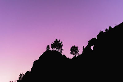 Low angle view of silhouette plant against sky at sunset