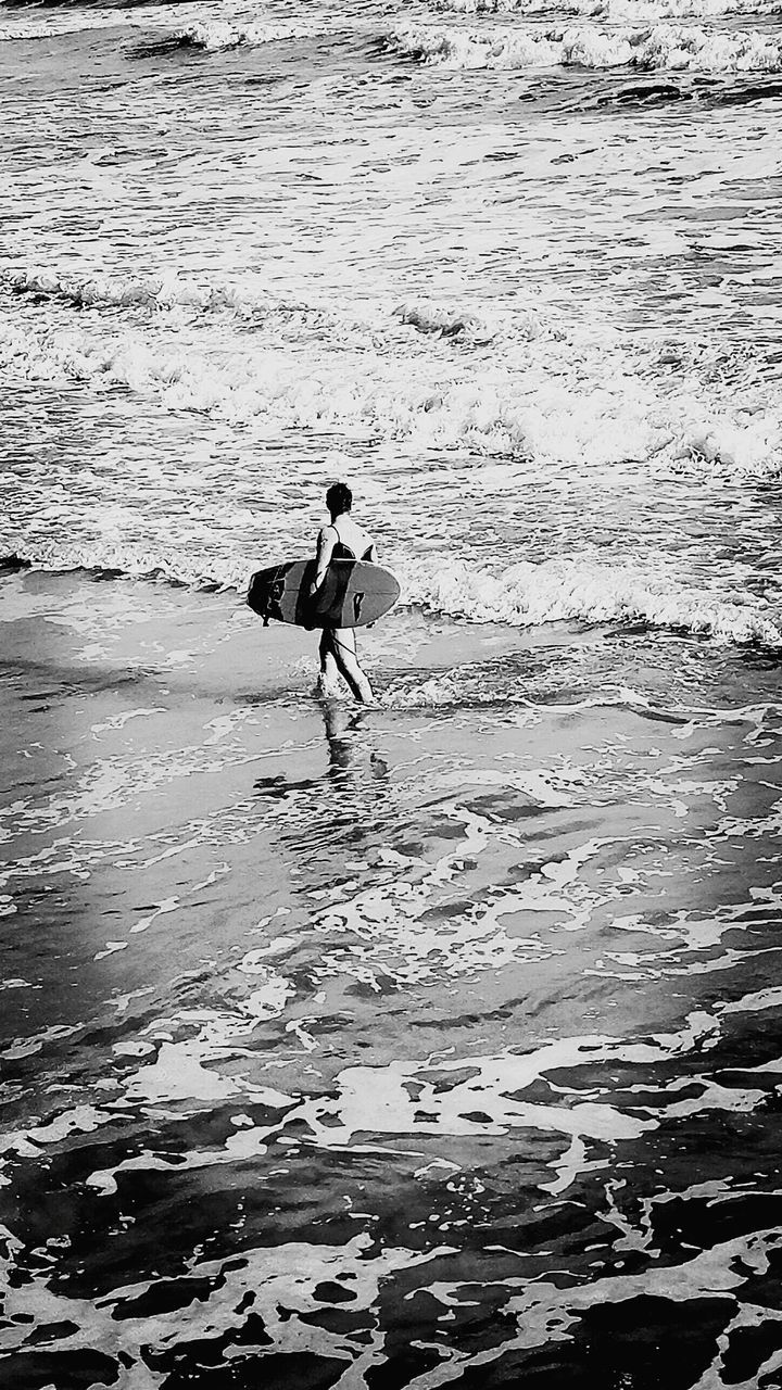 water, beach, full length, reflection, bird, wet, walking, shore, high angle view, sand, sunlight, one animal, nature, outdoors, animal themes, day, sea, lifestyles