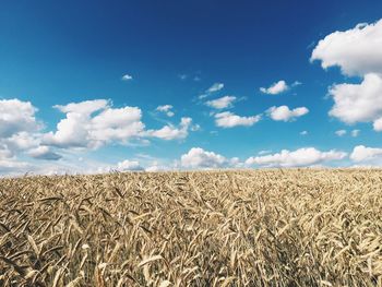 Scenic view of field against cloudy sky