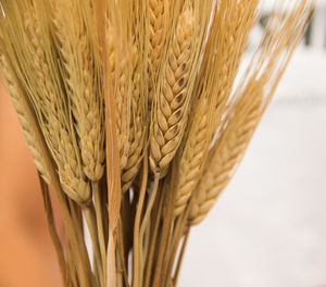 Close-up of wheat bouquet