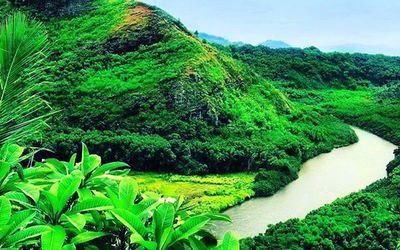 Scenic view of green landscape