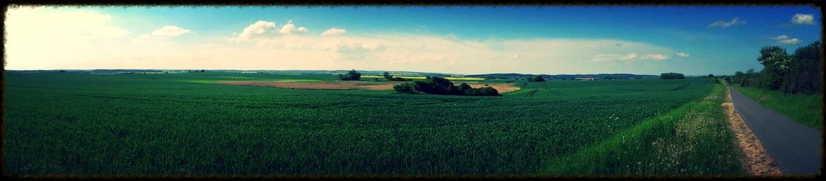 Scenic view of field against cloudy sky