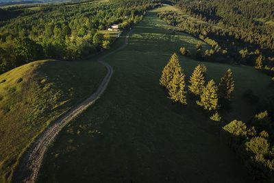 High angle view of trees on landscape