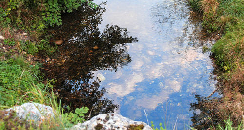 High angle view of reflection of trees in lake