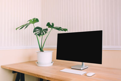 Potted plant on table against wall at home