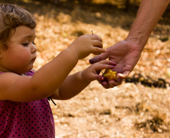 Close-up of baby hand holding fruit on field