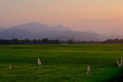 Scenic view of field against sky during sunset