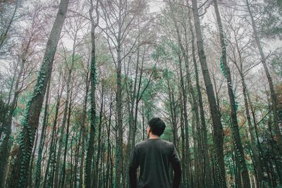 Rear view of man standing by trees in forest