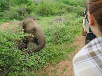 Close-up of elephant on man