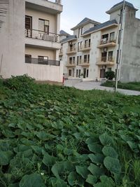 Residential buildings against sky