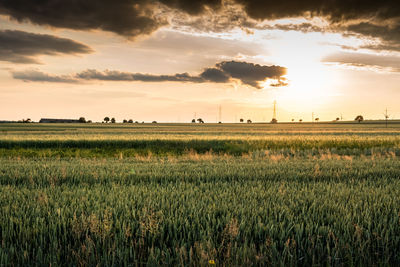 Scenic view of field against sky during sunset