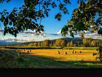 Hay bales on field against sky