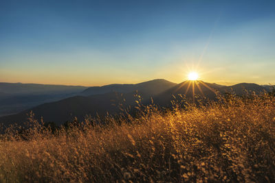 Scenic view of field against sky during sunset