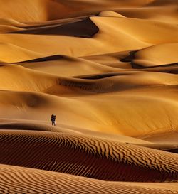 Person on sand dune in desert