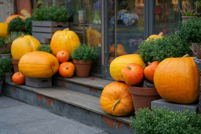 Autumn decoration with pumpkins and flowers outside the flower shop. halloween and thanksgiving day.