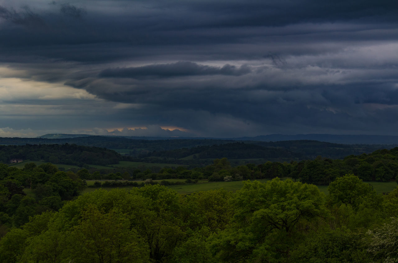 Newlands corner