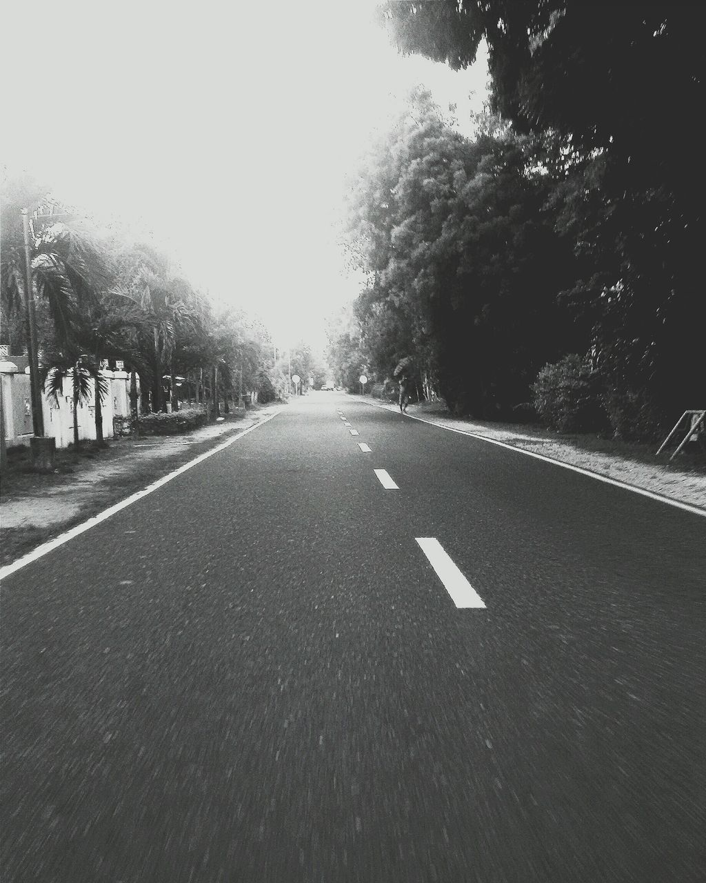 transportation, the way forward, road marking, road, diminishing perspective, tree, vanishing point, asphalt, clear sky, street, empty, empty road, country road, no people, day, outdoors, sky, car, mode of transport, long