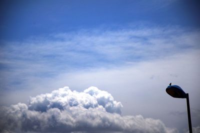Low angle view of bird against sky
