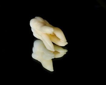 Close-up of cake against black background