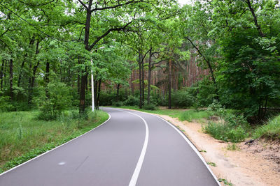 Empty road in forest