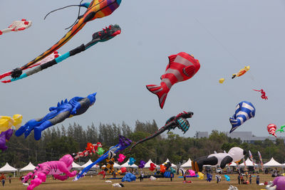 People on land with kites flying in sky
