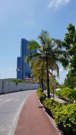 Road amidst trees and buildings against sky