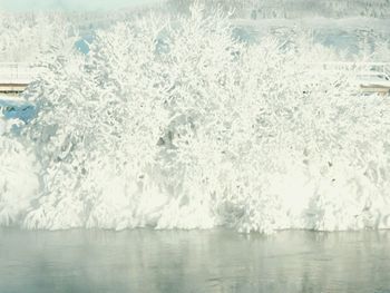 Close-up of snow on landscape against the sky