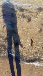 Shadow of people on beach