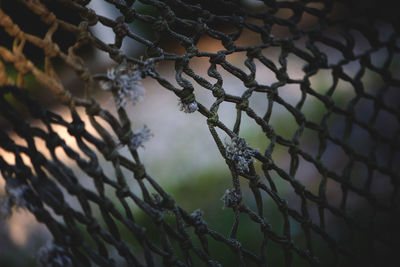 Close-up of sports net