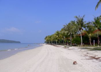 Scenic view of beach against clear sky