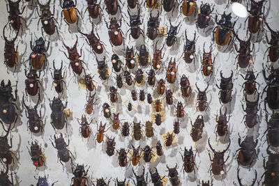 High angle view of decoration hanging on wall